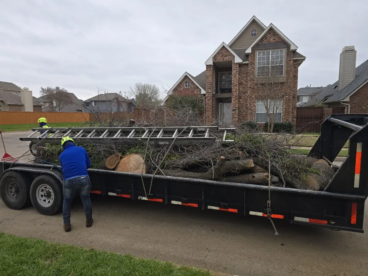 Expert Tree Removal with proper safety equipment in Hager City